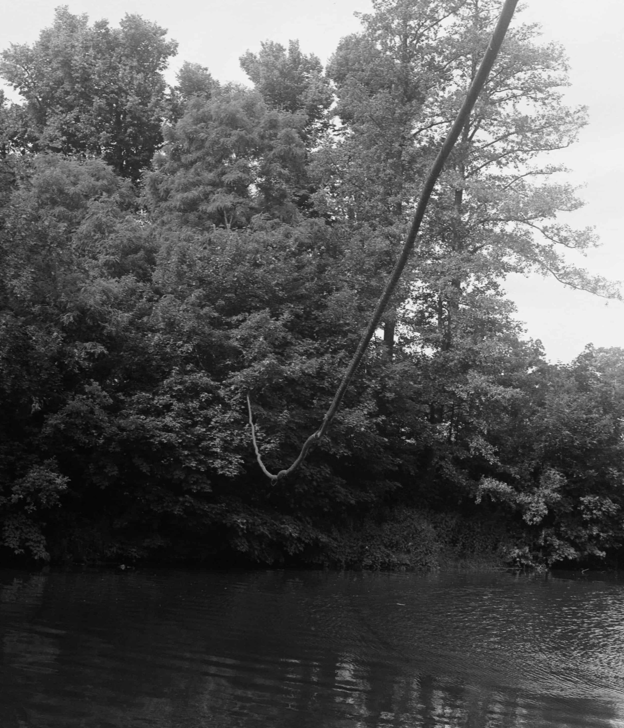 AGBAH Image 10